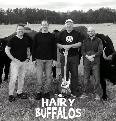 Creekside Blues & Jazz Festival, Gahanna Ohio Hairy Buffalos
